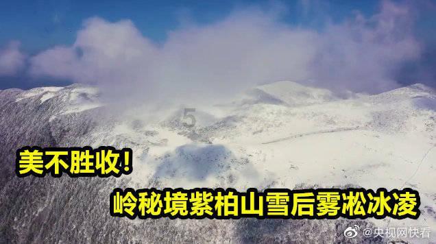 二哥二嫂的全部演员