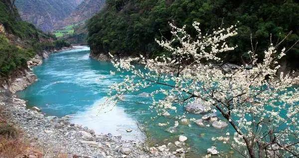 美容师证都考啥啊 美容师证需要复审吗