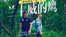 卡通考拉救援