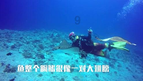 惊悚的万圣节拼图