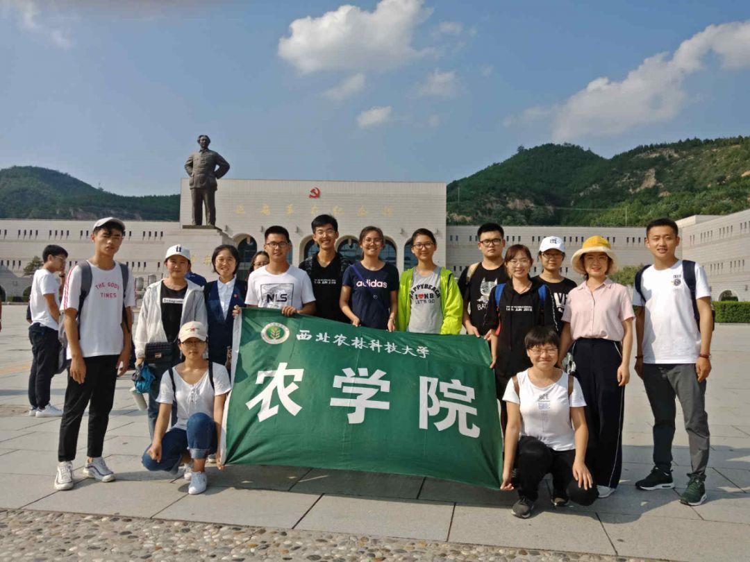 《木筏求生》河豚爆炸后果介绍